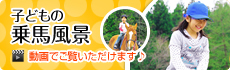 子どもの乗馬風景