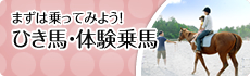 まずは馬に乗ってみよう!ひき馬・体験乗馬